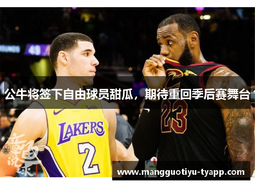公牛将签下自由球员甜瓜，期待重回季后赛舞台