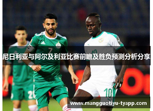 尼日利亚与阿尔及利亚比赛前瞻及胜负预测分析分享